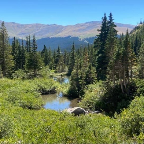 Meet your Posher, Andrea - Picture 4 of 6